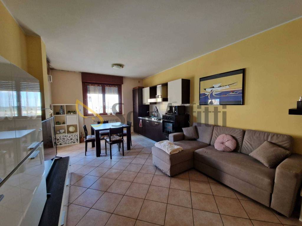 immagine annuncio 3 di 11