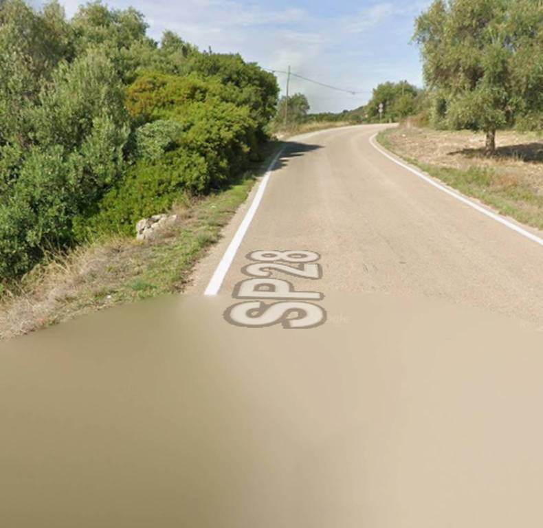 immagine annuncio 2 di 12