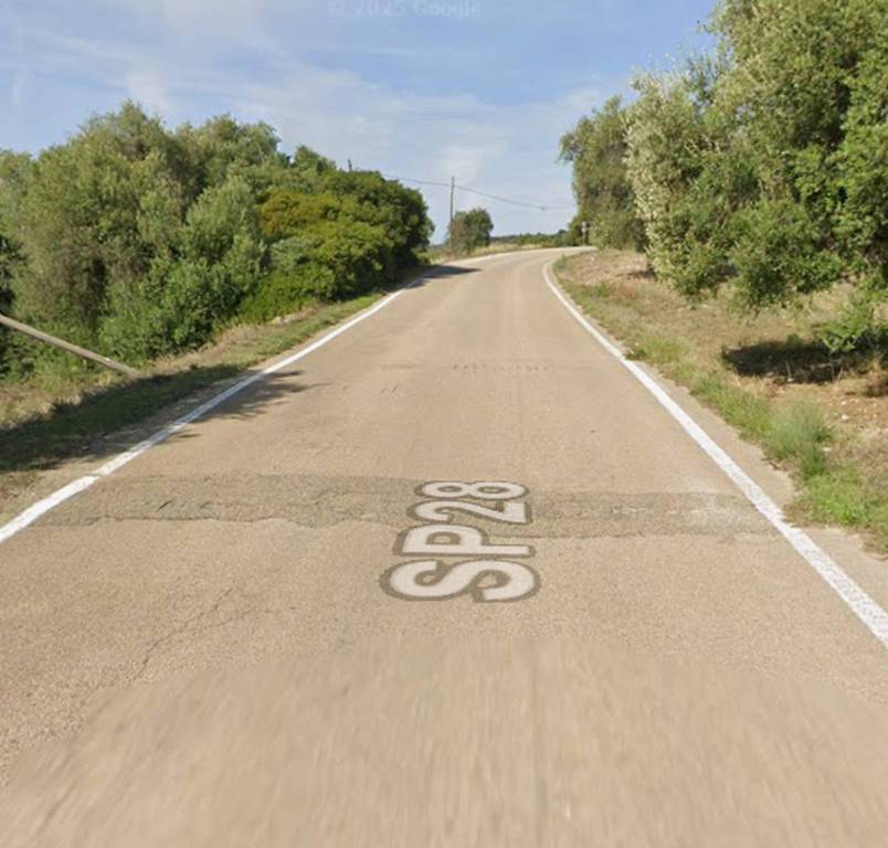 immagine annuncio 5 di 12