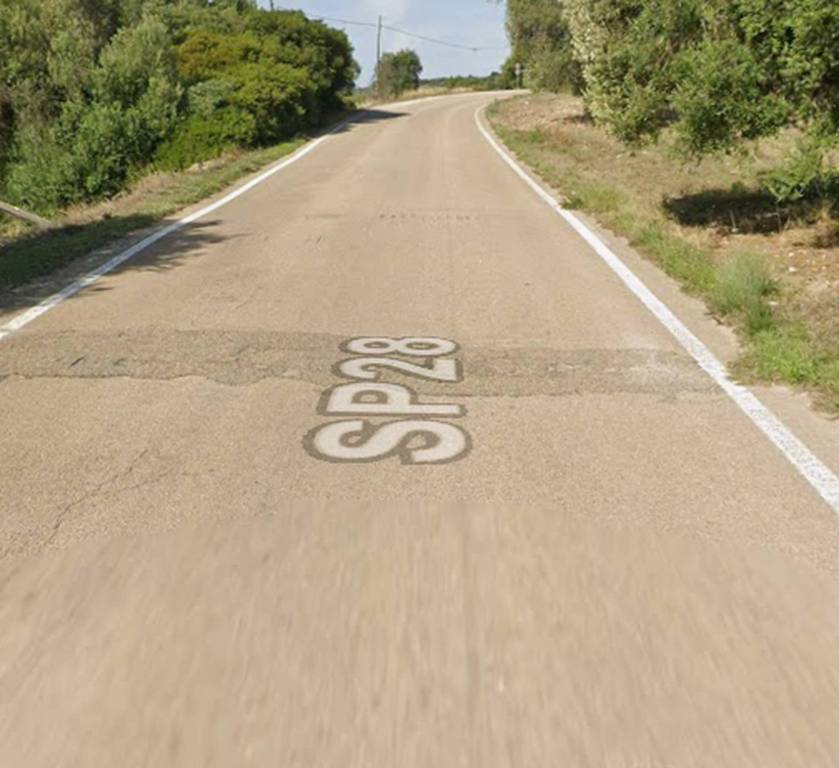 immagine annuncio 6 di 12