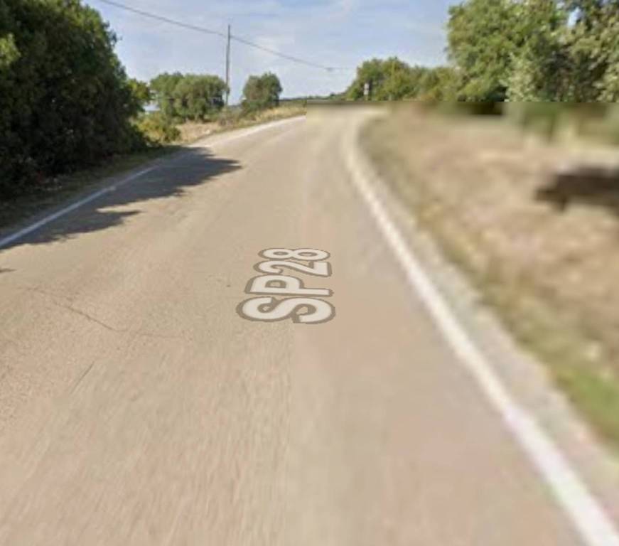 immagine annuncio 10 di 12