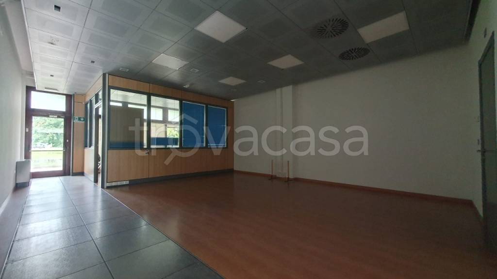 immagine annuncio 2 di 6