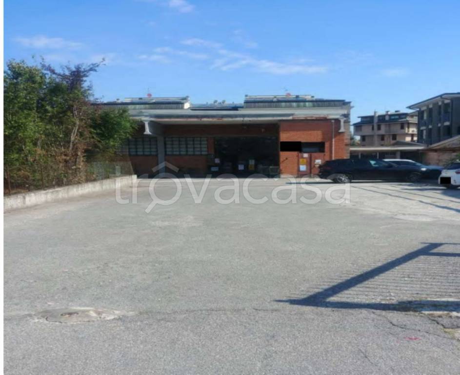 immagine annuncio 2 di 11