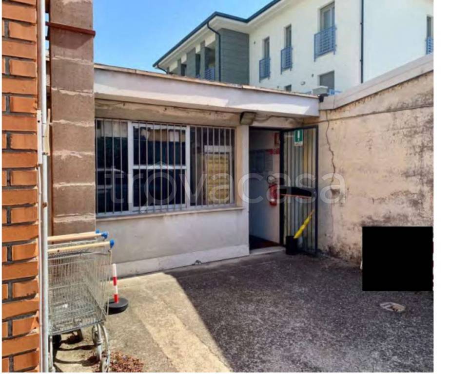 immagine annuncio 3 di 11