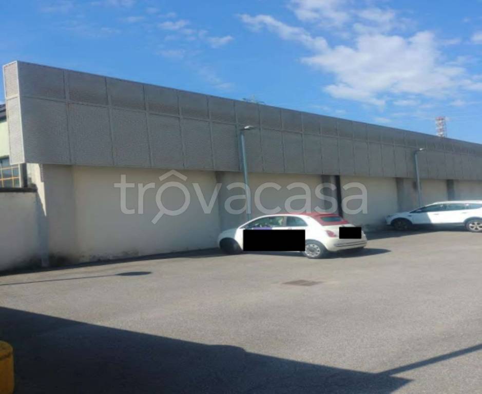 immagine annuncio 4 di 11