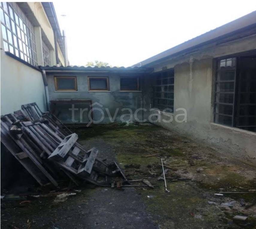 immagine annuncio 5 di 11