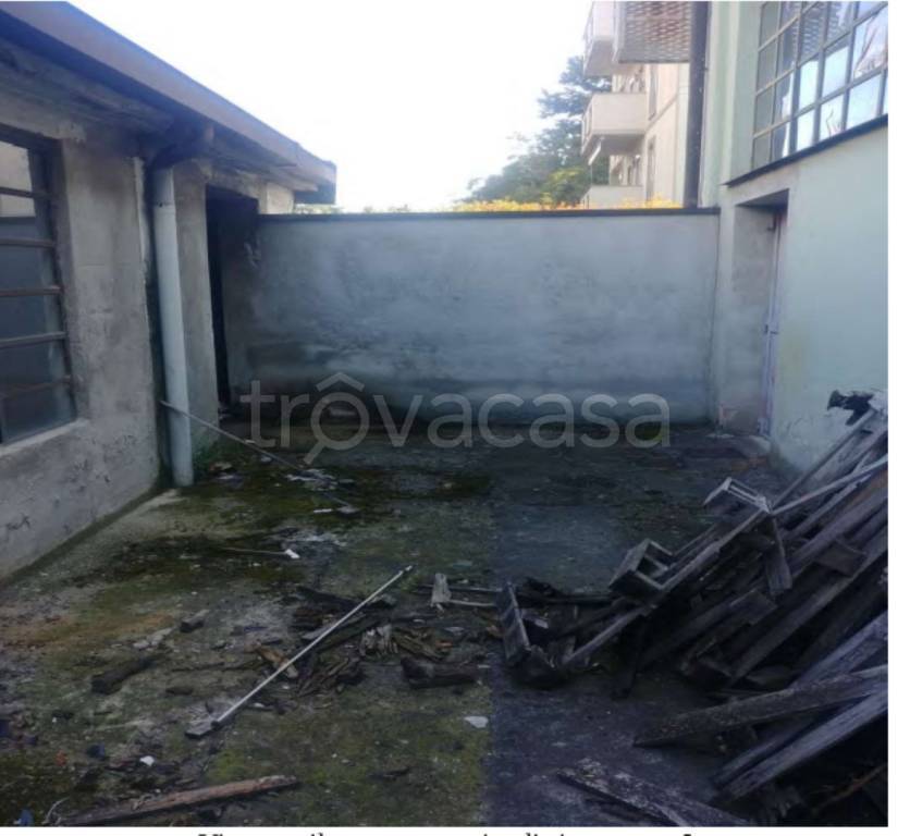 immagine annuncio 6 di 11