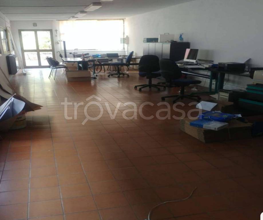 immagine annuncio 7 di 12