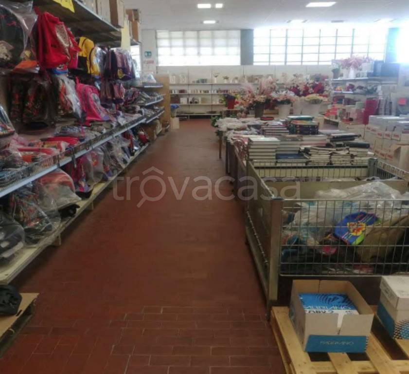 immagine annuncio 9 di 11