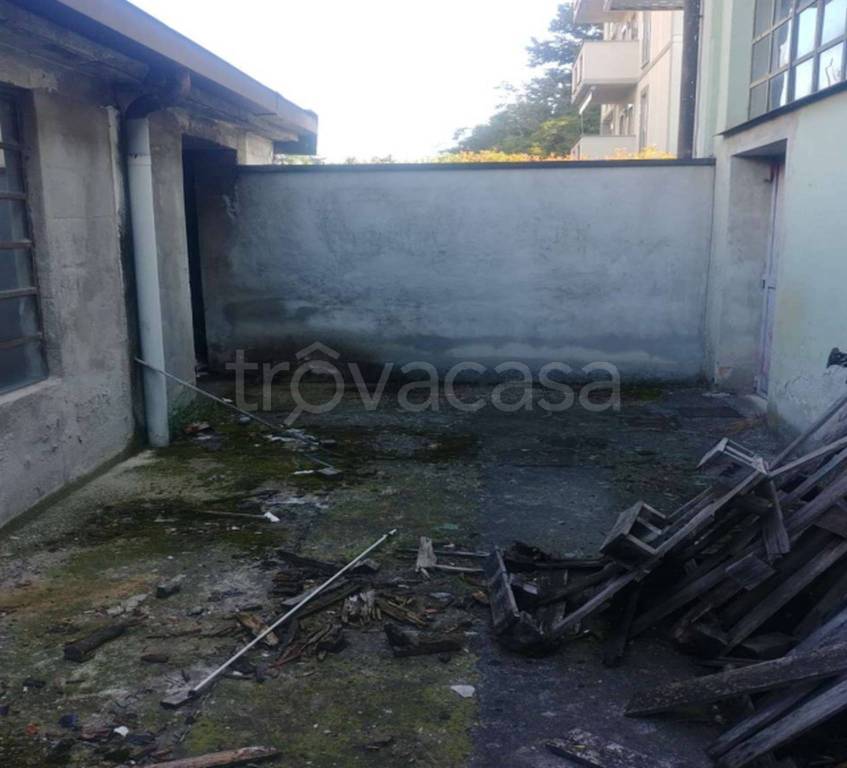 immagine annuncio 10 di 12