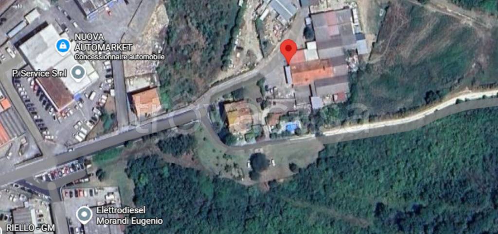 immagine annuncio 3 di 12