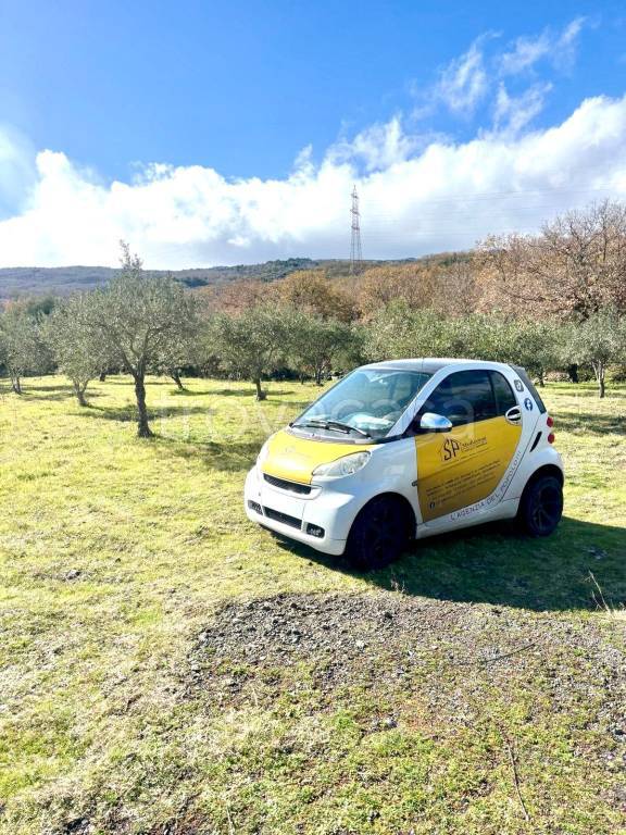 immagine annuncio 12 di 13