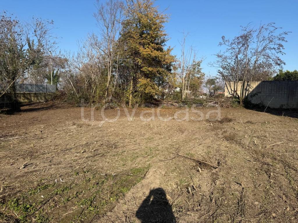 immagine annuncio 3 di 7