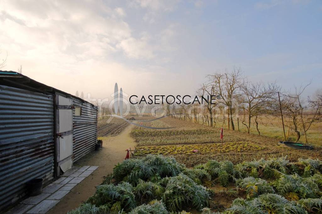 immagine annuncio 6 di 14