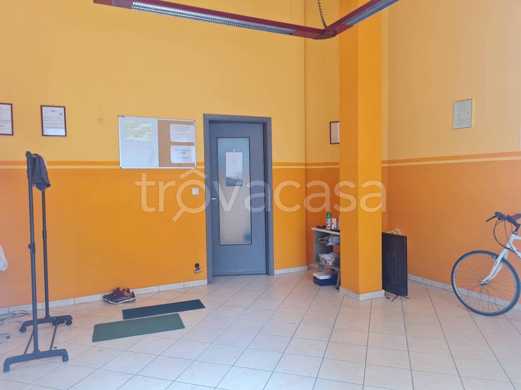 immagine annuncio 5 di 15