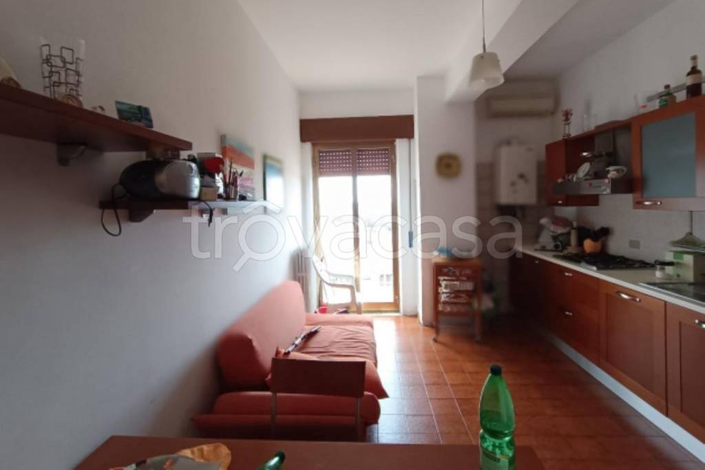 immagine annuncio 4 di 12