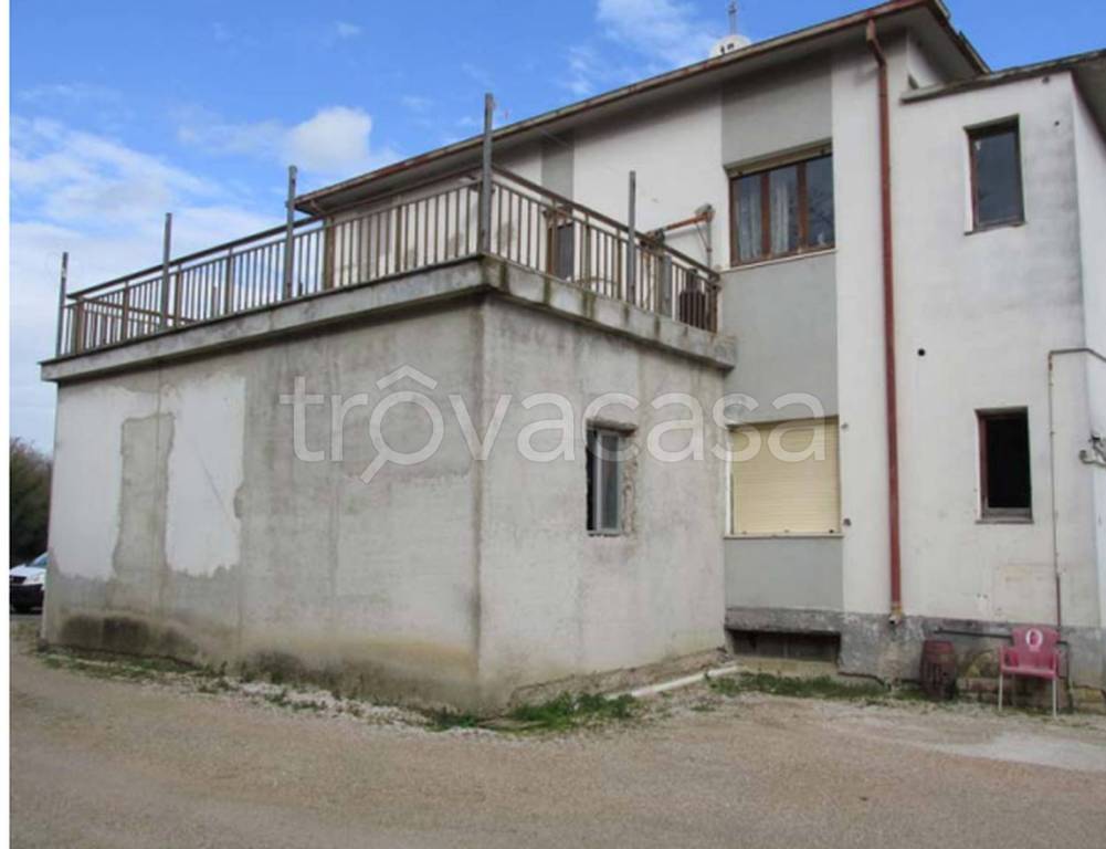 immagine annuncio 4 di 11