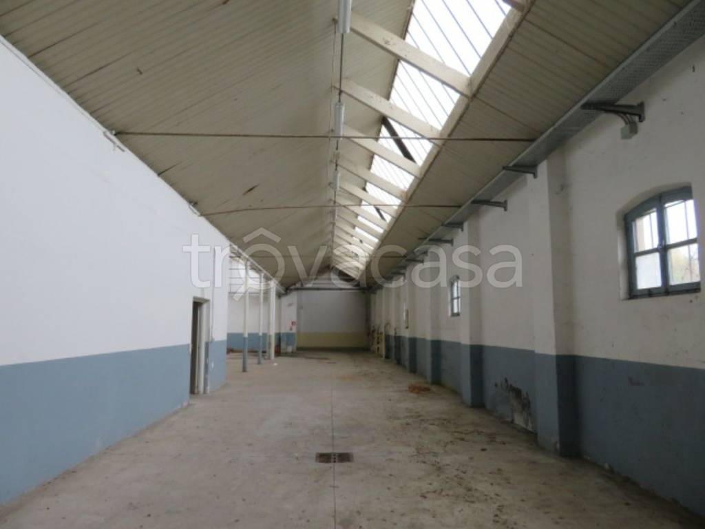 immagine annuncio 4 di 13