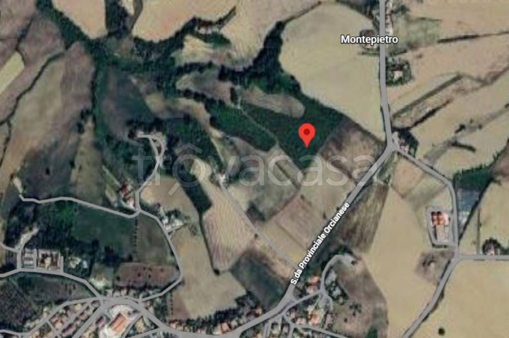 immagine annuncio 7 di 11