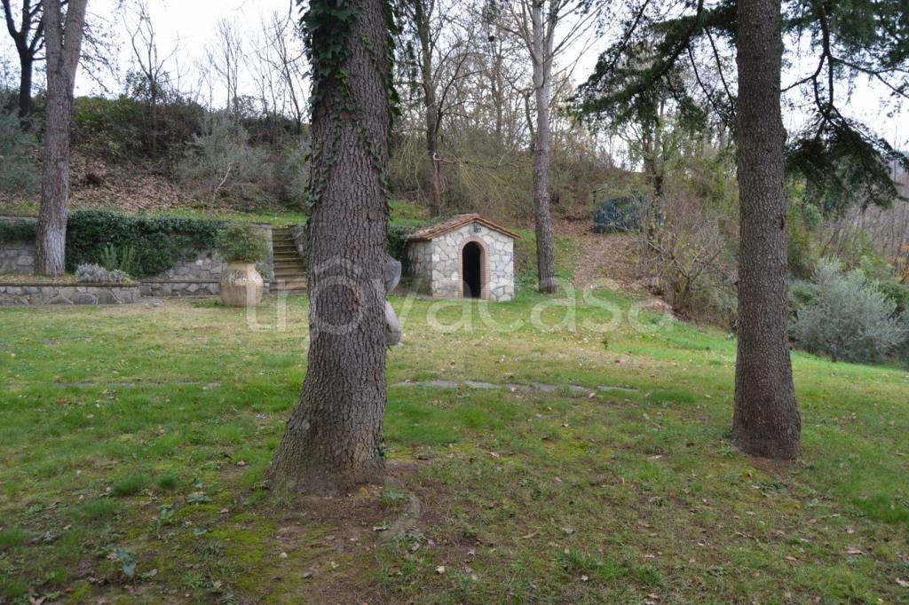 immagine annuncio 2 di 11