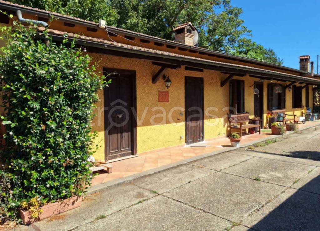 immagine annuncio 2 di 12