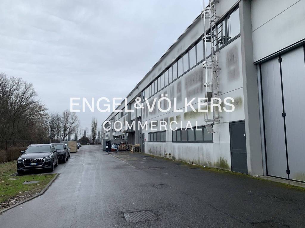 immagine annuncio 14 di 15