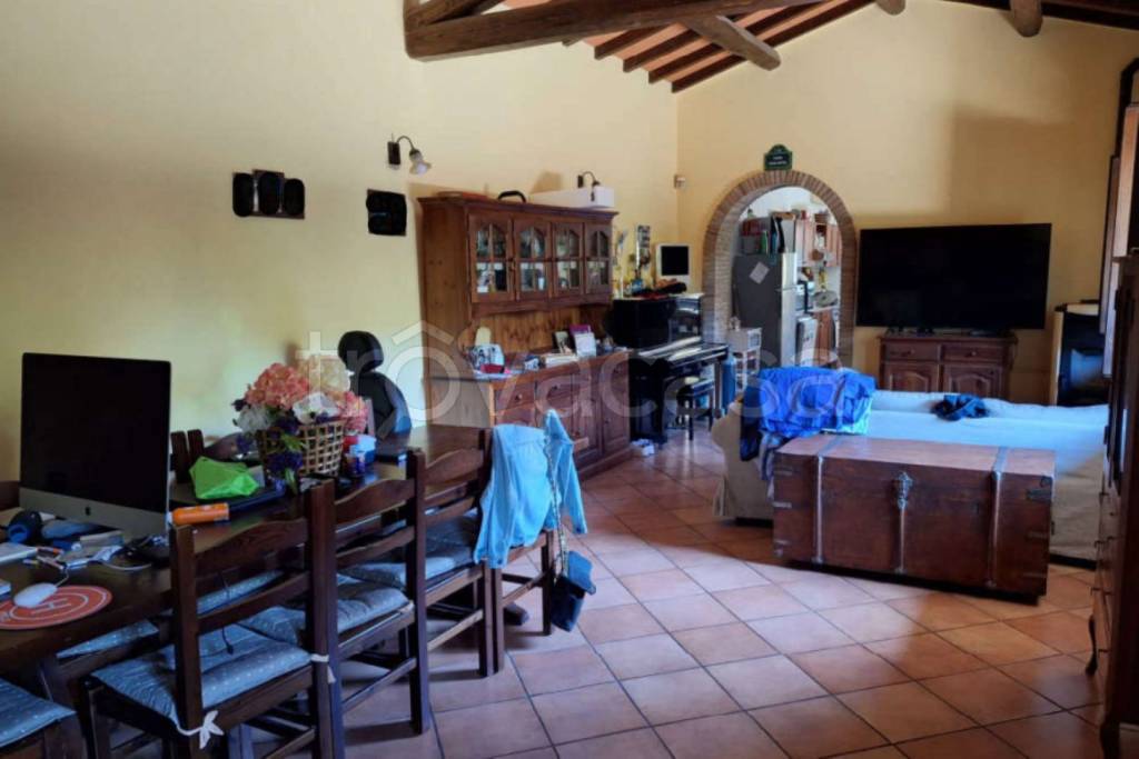 immagine annuncio 9 di 12