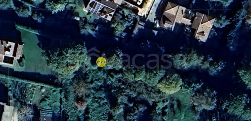 immagine annuncio 11 di 12