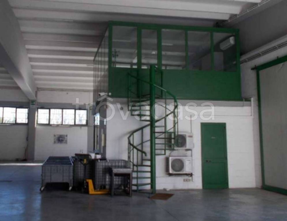 immagine annuncio 3 di 11