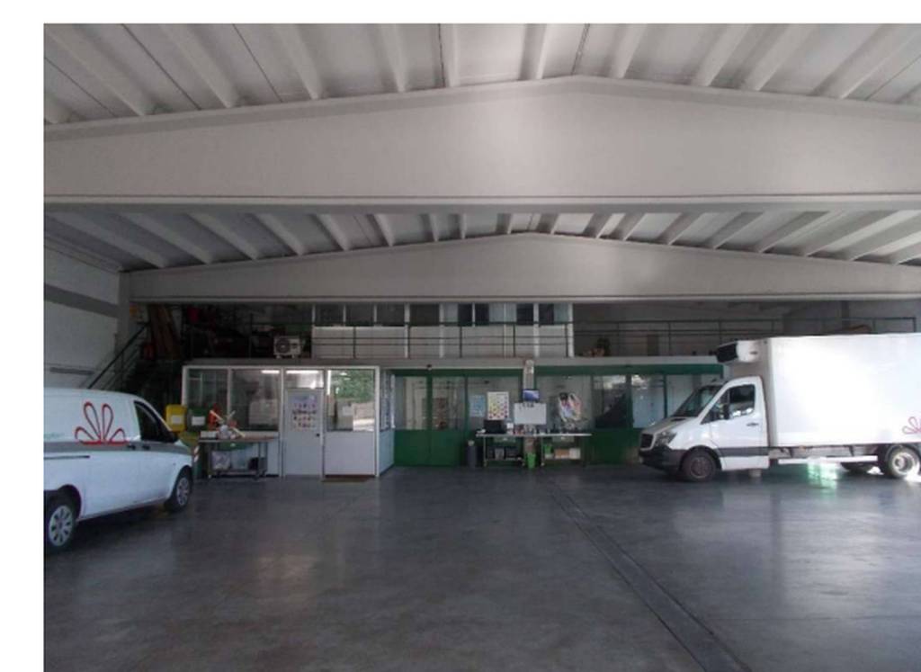 immagine annuncio 5 di 11