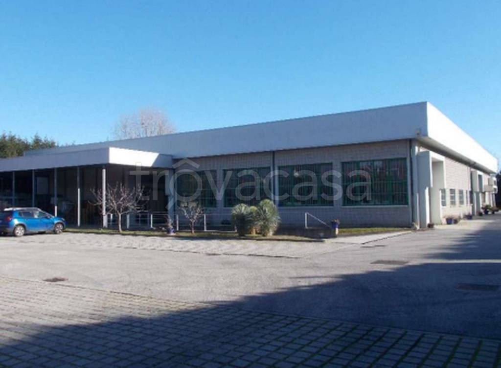 immagine annuncio 7 di 11