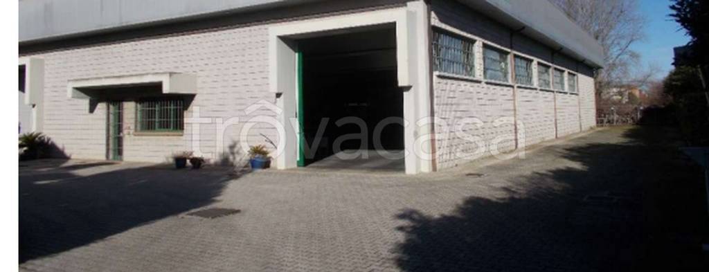 immagine annuncio 8 di 11