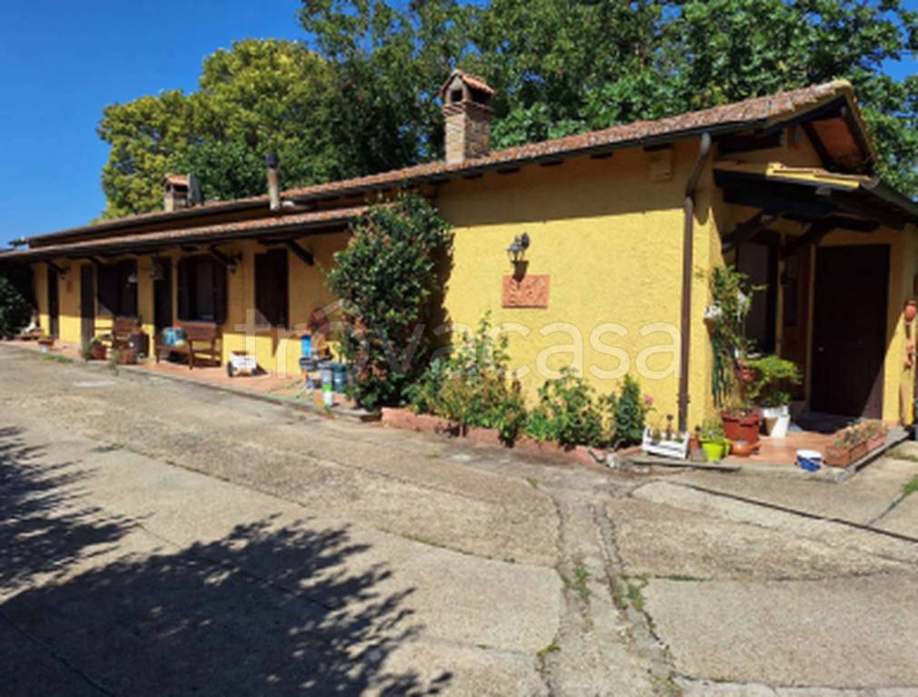 immagine annuncio 5 di 11