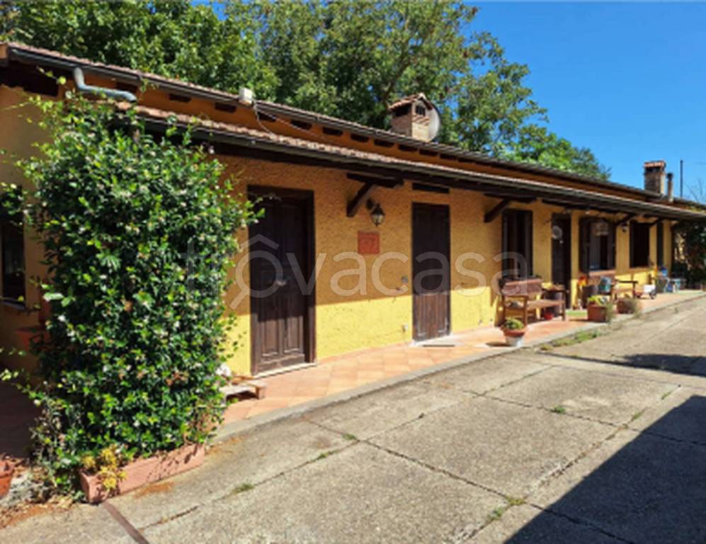 immagine annuncio 7 di 11