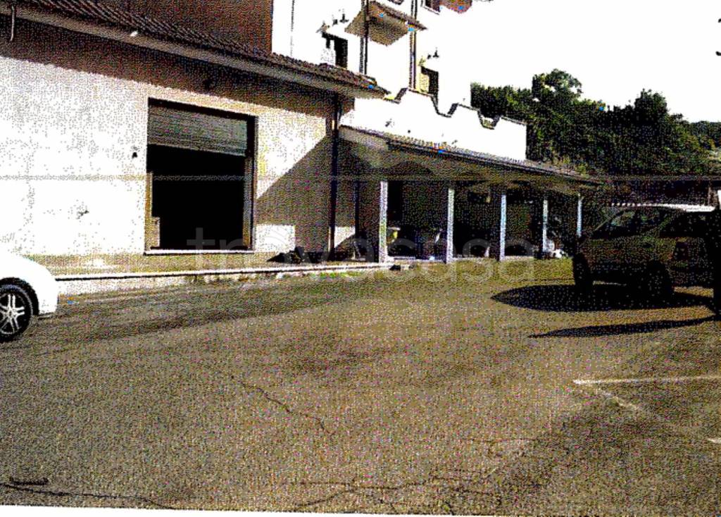 immagine annuncio 2 di 11