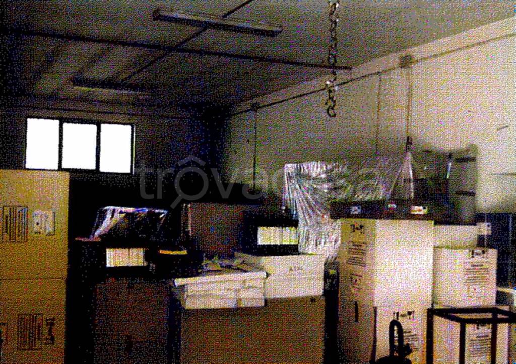 immagine annuncio 3 di 11