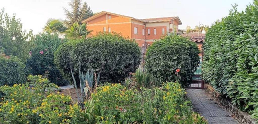 immagine annuncio 4 di 11