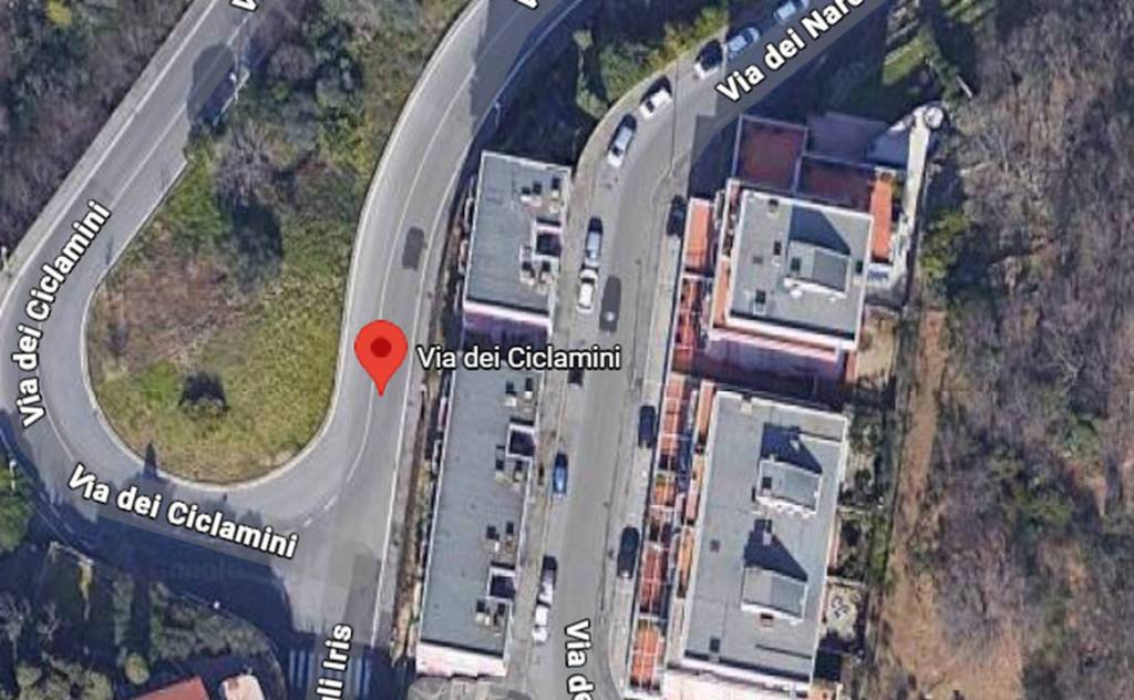 immagine annuncio 5 di 10