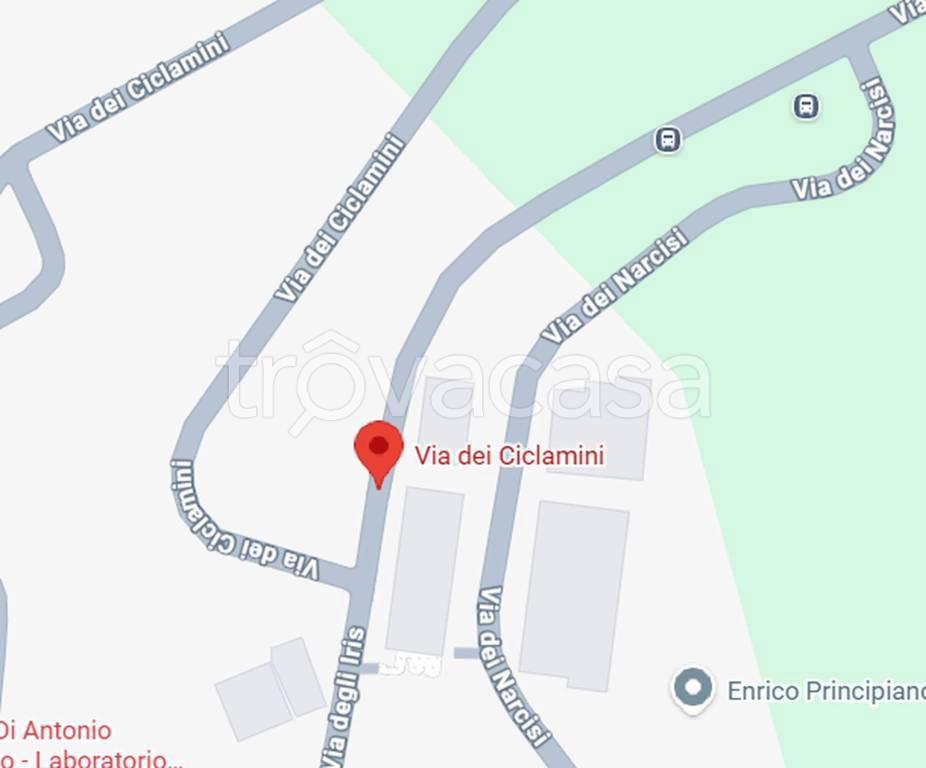 immagine annuncio 6 di 10