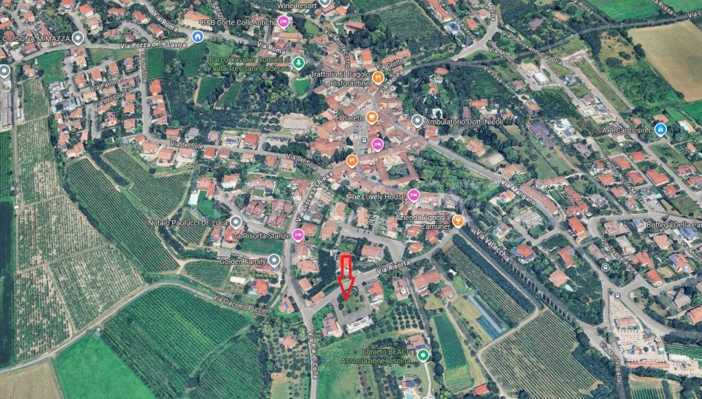 immagine annuncio 2 di 15