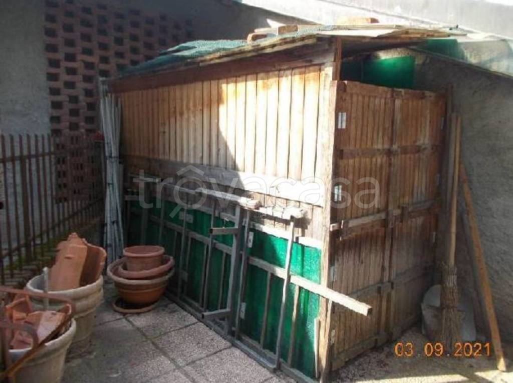 immagine annuncio 8 di 14