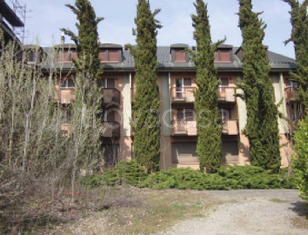 immagine annuncio 5 di 11