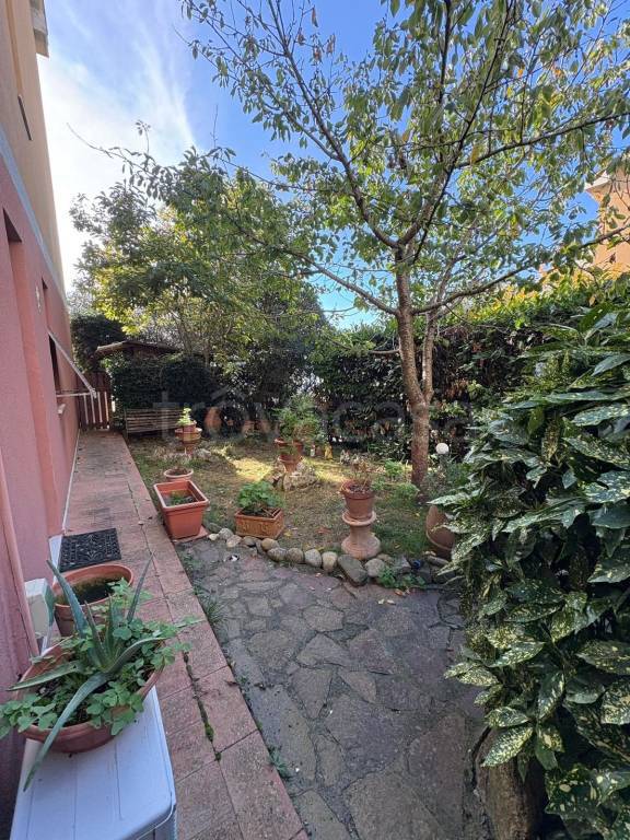 immagine annuncio 10 di 14