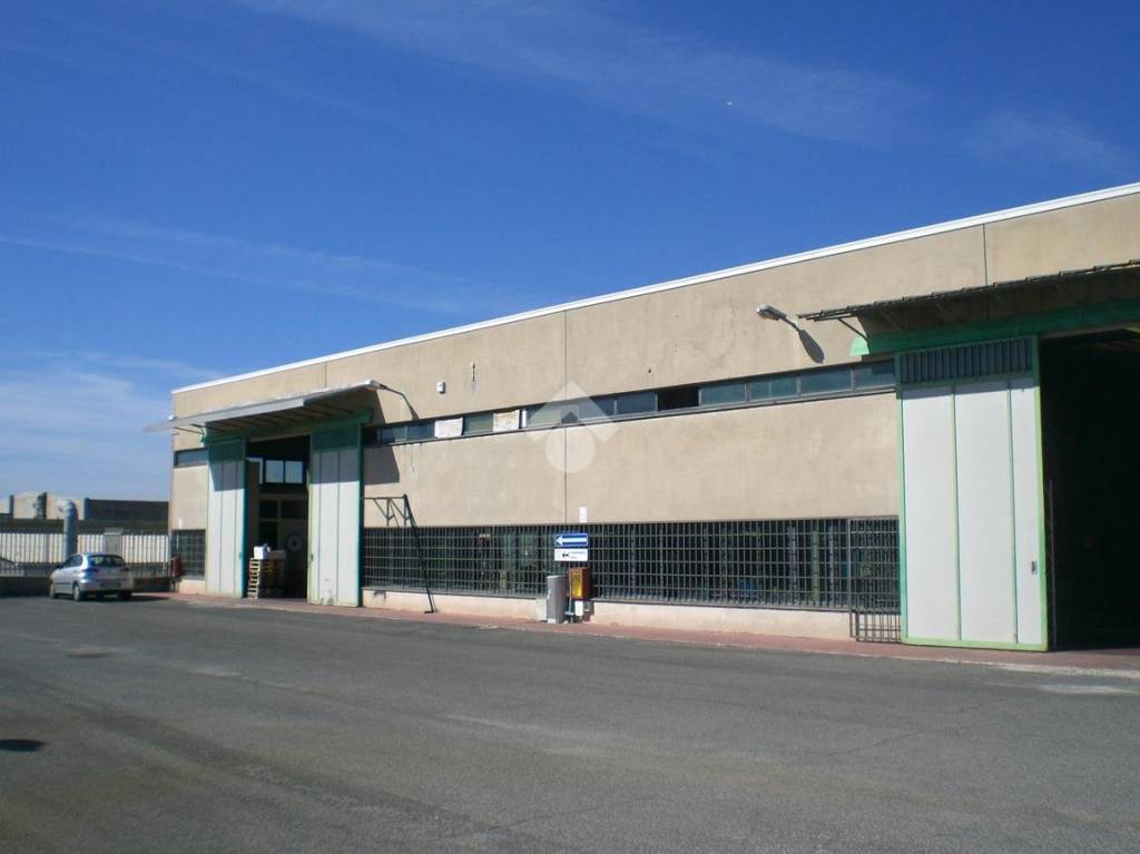 immagine annuncio 9 di 15