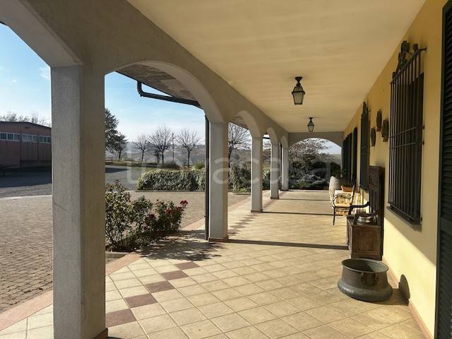 immagine annuncio 5 di 7