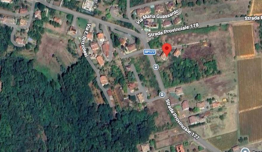 immagine annuncio 1 di 12