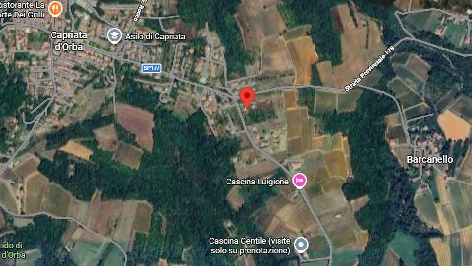 immagine annuncio 3 di 12