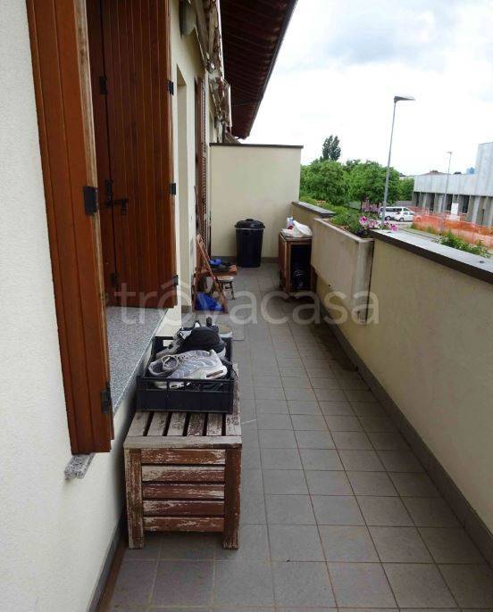 immagine annuncio 4 di 8