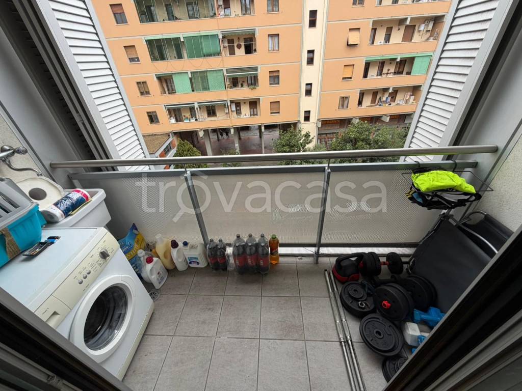 immagine annuncio 8 di 13