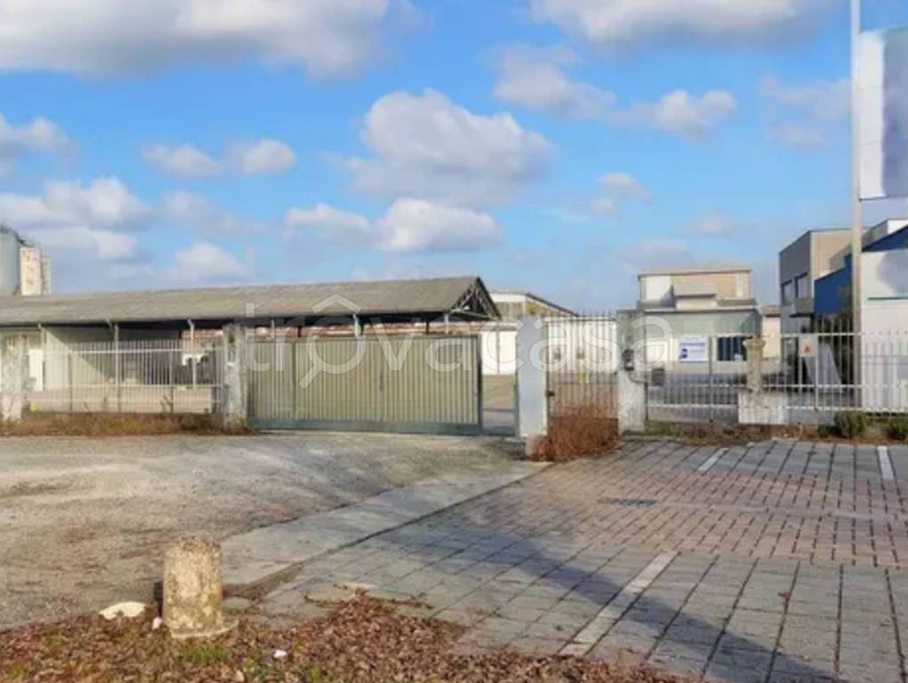 immagine annuncio 1 di 12